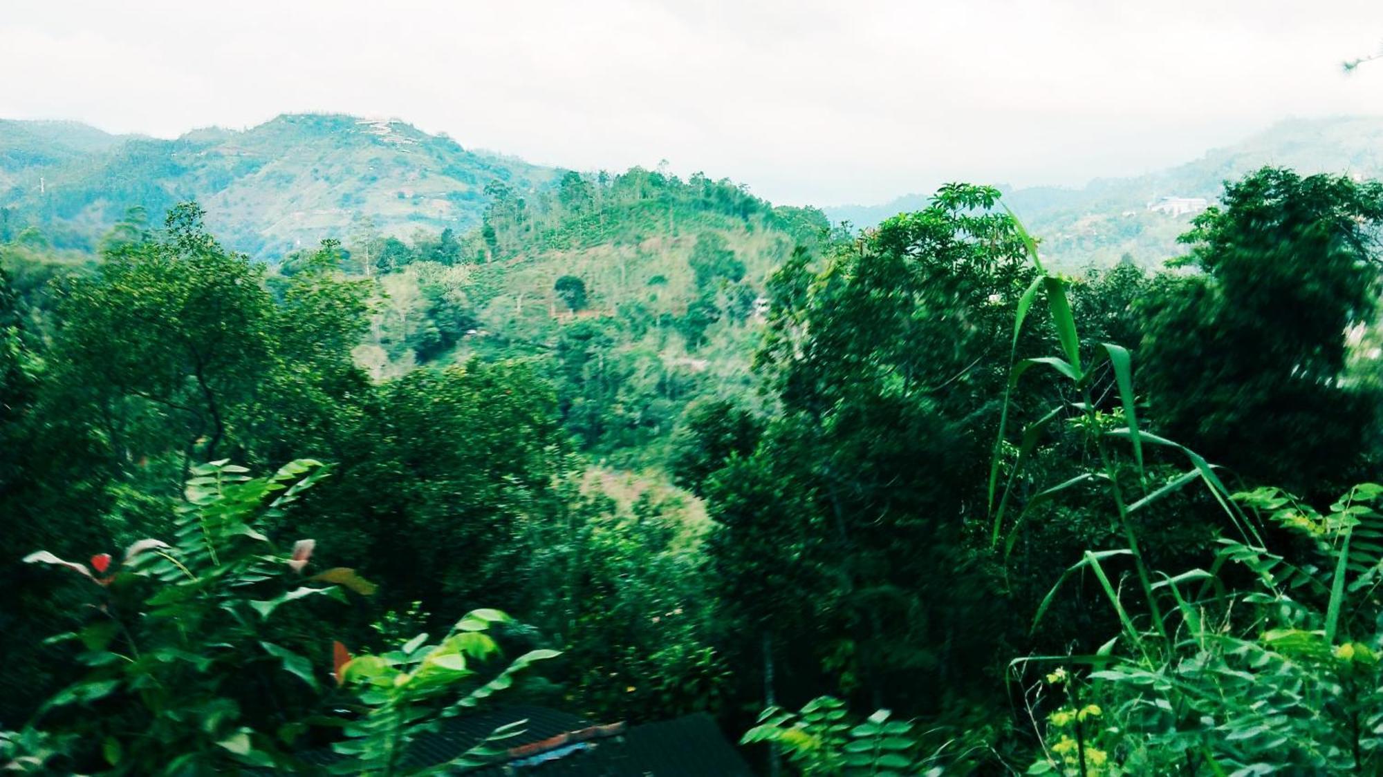 Hushwood Family House Homestay