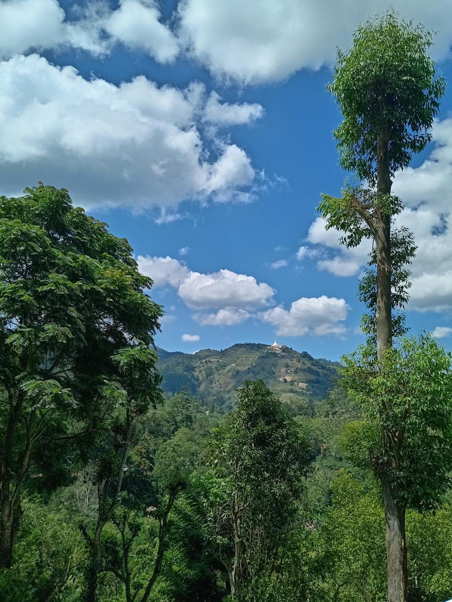 Hushwood Family House Homestay