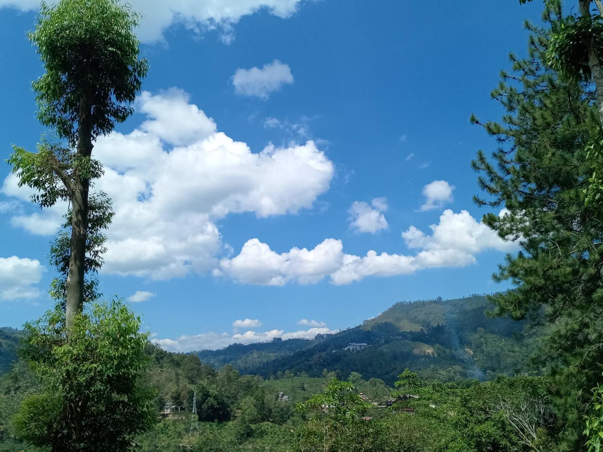 Hushwood Family House Homestay Ella